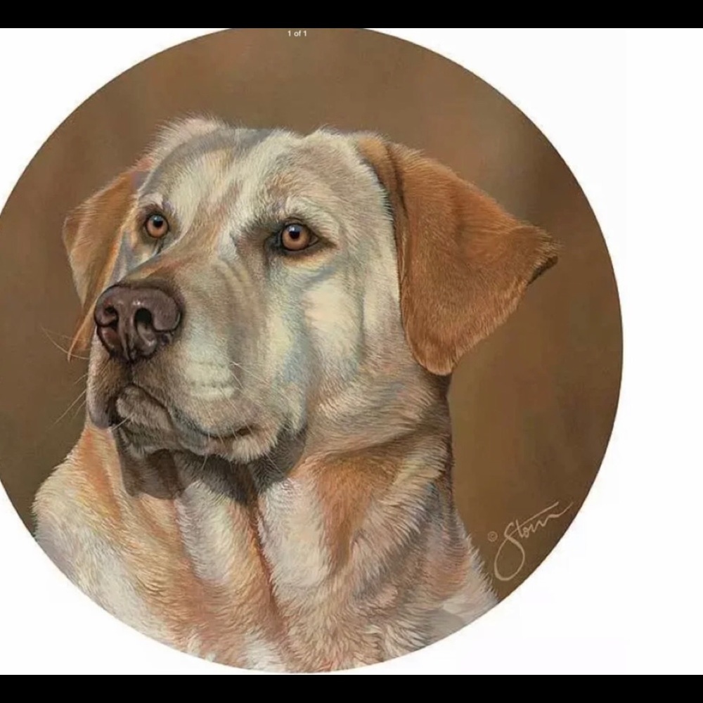 Wild Wings Nature Coasters Labrador Dog Retriever